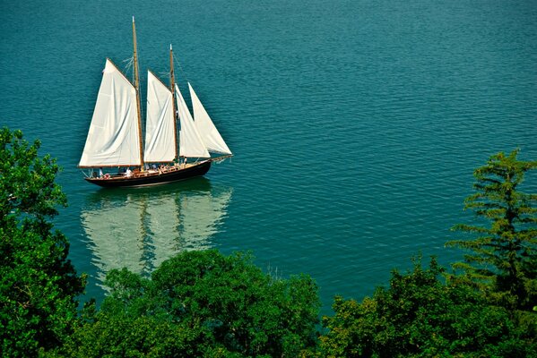 Barca a vela In mare. Alberi sulla riva