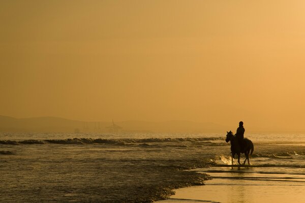 Hermosa imagen de un caballo y un jinete al atardecer