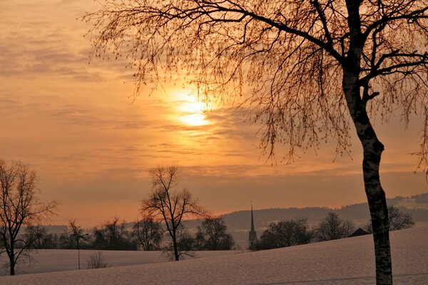 Winter landscape. Nature at sunset