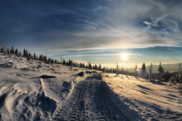 The bright sun and the road among the snow