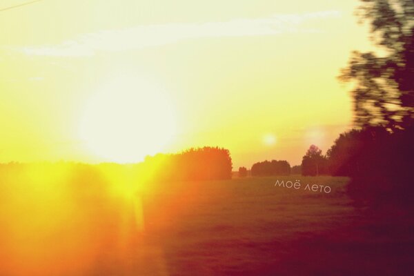 The bright light of the incoming sun in summer around the trees