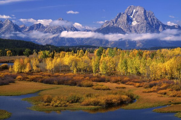 Autumn forest on the background of mountains and river