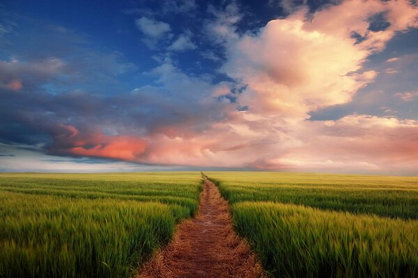 Sendero en el campo que se extiende más allá del horizonte