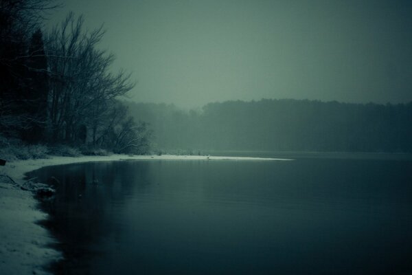 Mattina presto in inverno nella foresta