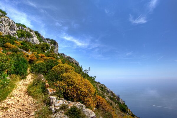 Landscape with steep cliffs above the sea