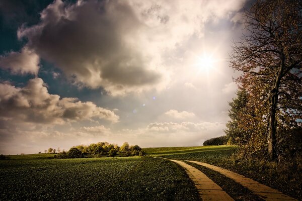 Große Wolken über dem Gehweg im grünen Gras und in den Bäumen