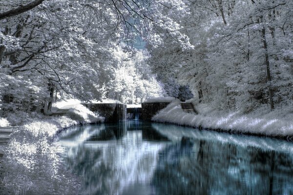 Landschaft von Bäumen im Schnee und Fluss