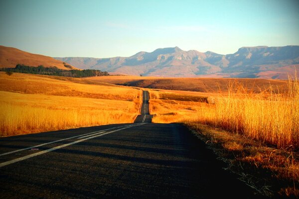 The road into the distance. Solar fields