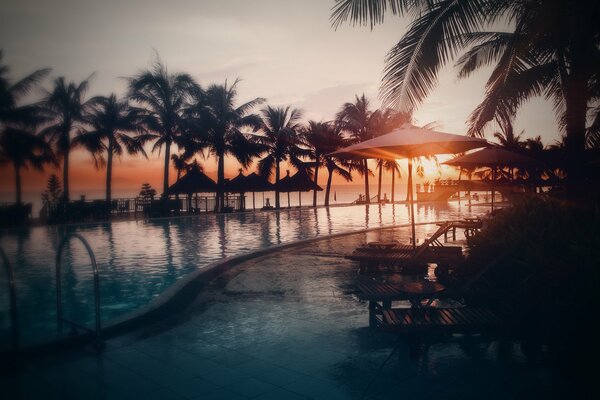 Photo de la piscine avec des palmiers sur fond de coucher de soleil