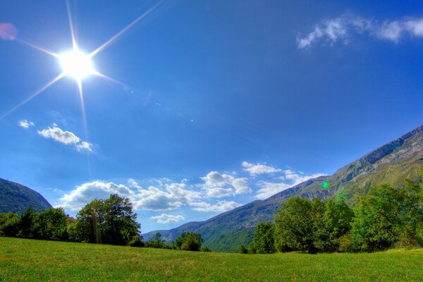 Blauer Himmel und grüne Felder mit Wald