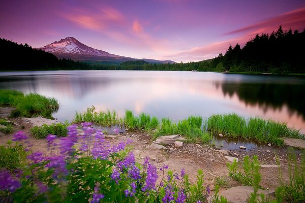 Hermoso paisaje en las montañas al atardecer