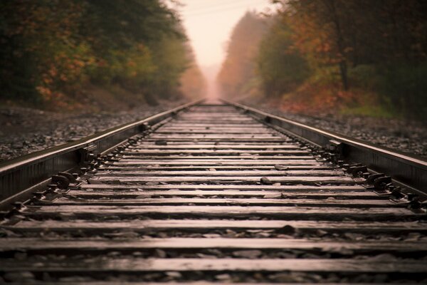 Chemin de fer matin brumeux