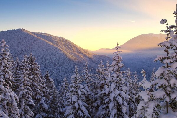 Montagne innevate. Bella natura in inverno