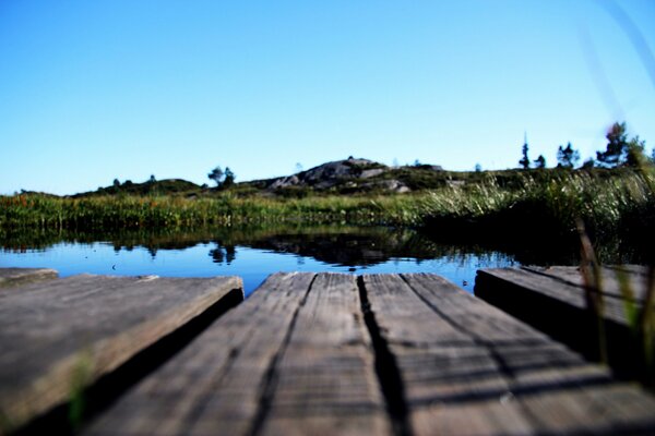 A bridge near a lake among plants in nature