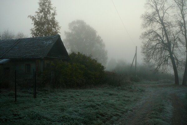 Paysage rustique dans le brouillard