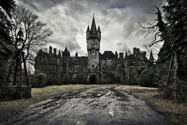 Un castillo sombrío se encuentra solo en el bosque