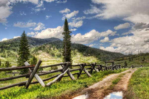 Strada forestale irregolare con pozzanghere e recinzione