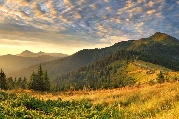 Gorgeous landscape of hills with grass