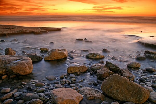 Stones washed ashore by the sea