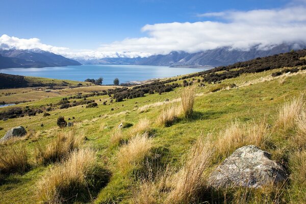 Monte Queenstown en nueva Zelanda