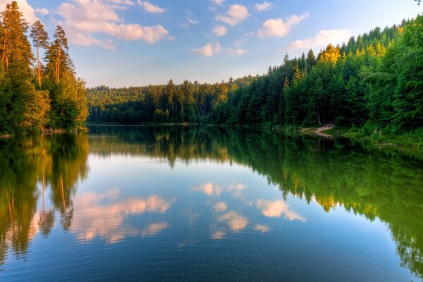 Bellissimo lago con il riflesso degli alberi