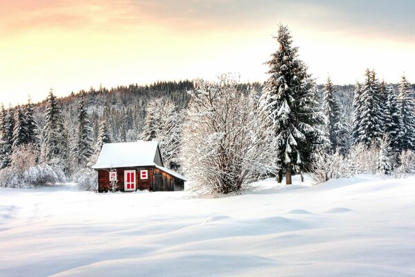 Winter house on the edge of the forest