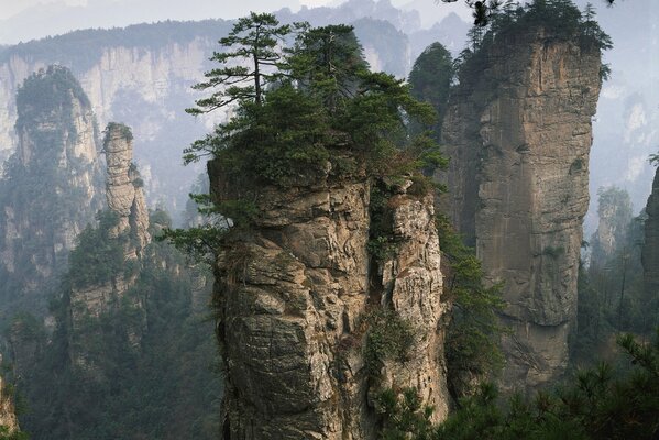 Falaise abrupte avec herbe et arbres