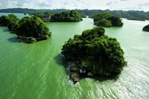 Inseln und Wasser sind überall grün und trocken