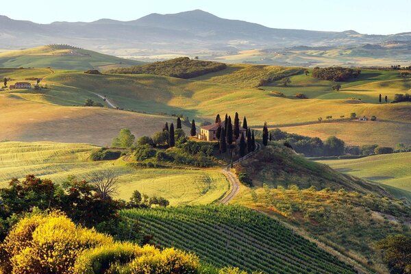 Paesaggio della natura addormentata autunnale