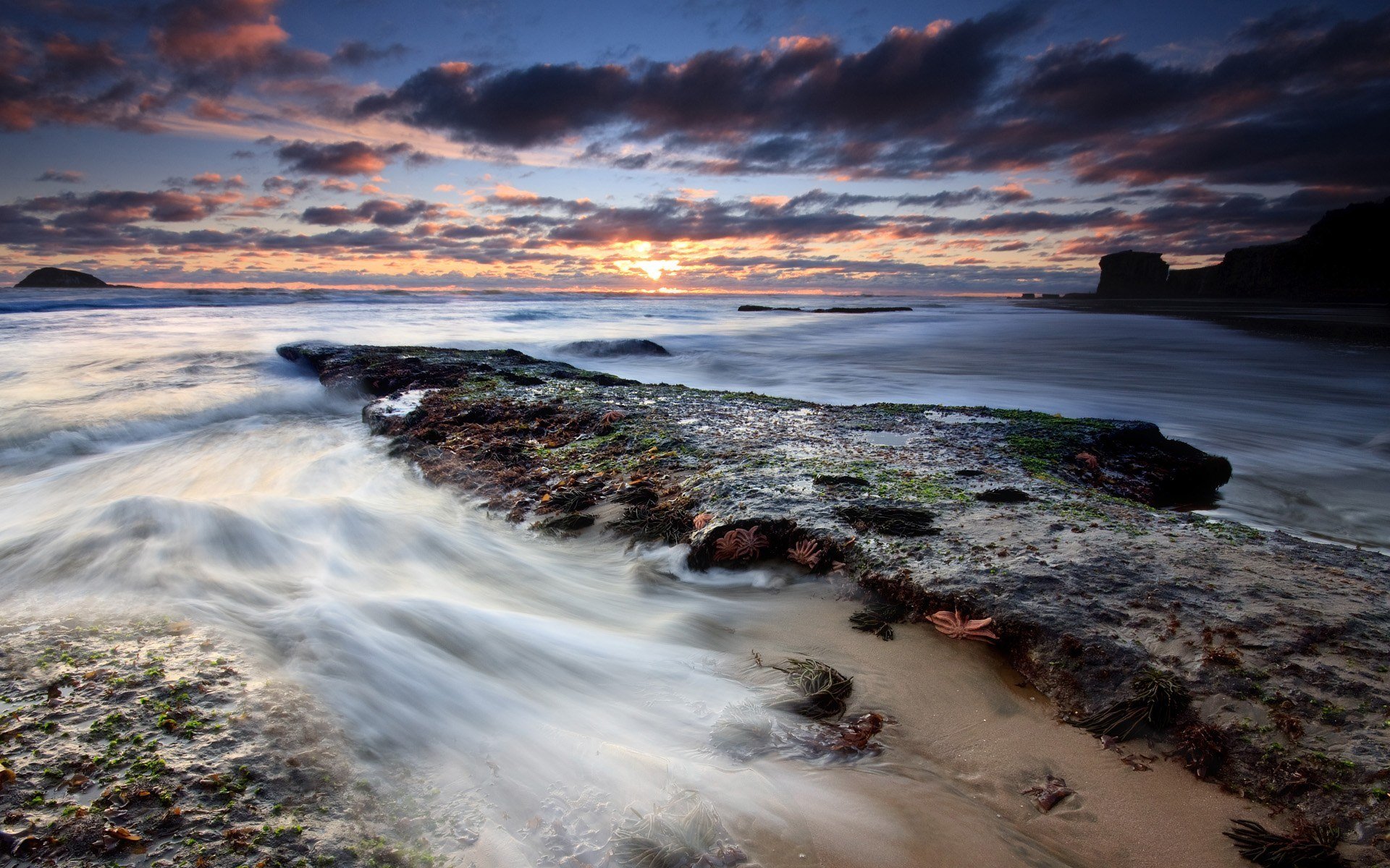 puesta de sol en la bahía maorí auckland nueva zelanda puesta de sol mar noche hermoso fondo de pantalla