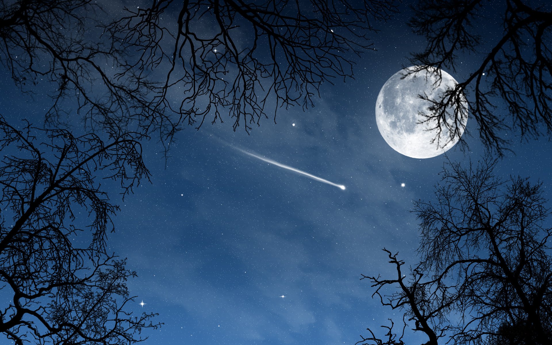 landscape night moon sky trees star view moon nature