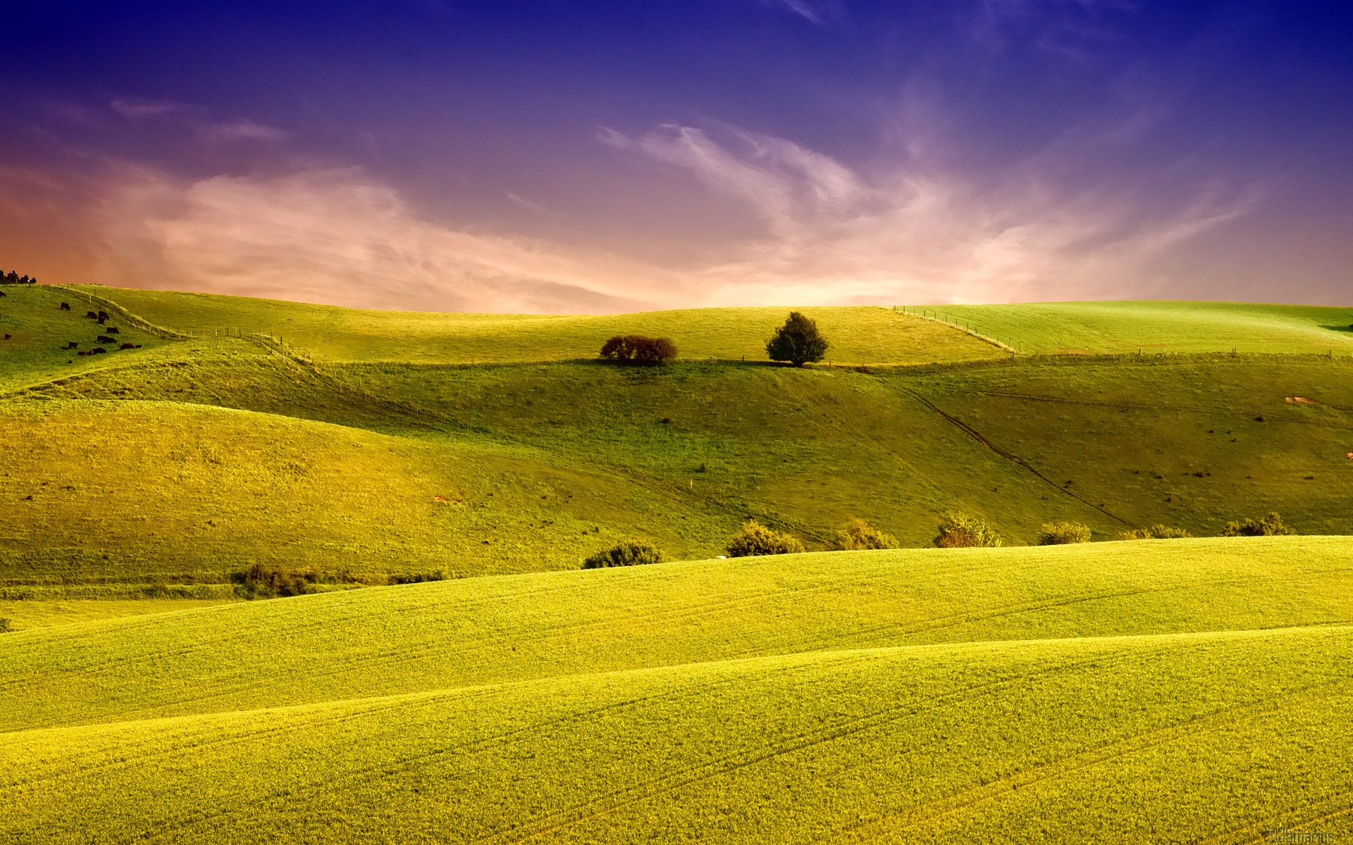 champs champ paysage herbe collines ciel nature