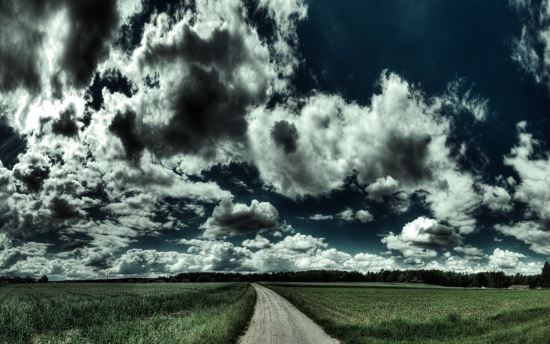 natura paesaggio campo strada