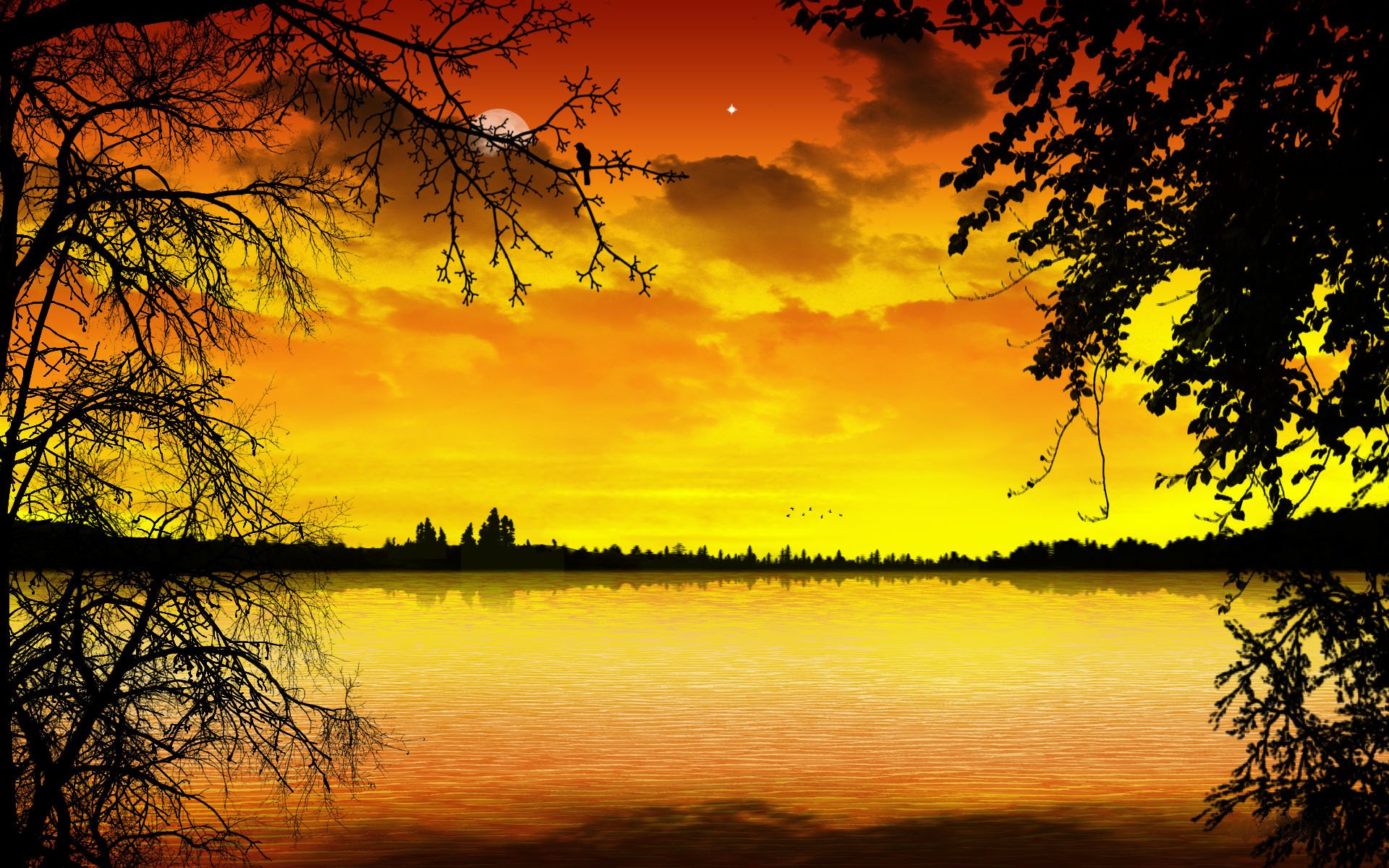 evening trees clouds beauty landscape smooth surface water style