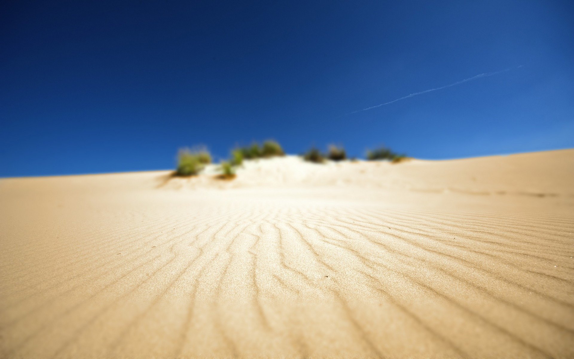 deserto spiaggia sabbia paesaggio africa foto