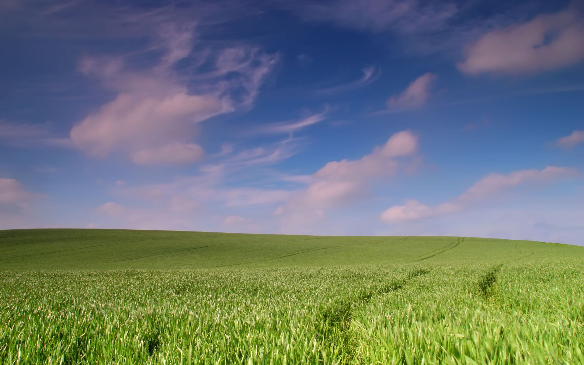 campo paesaggio