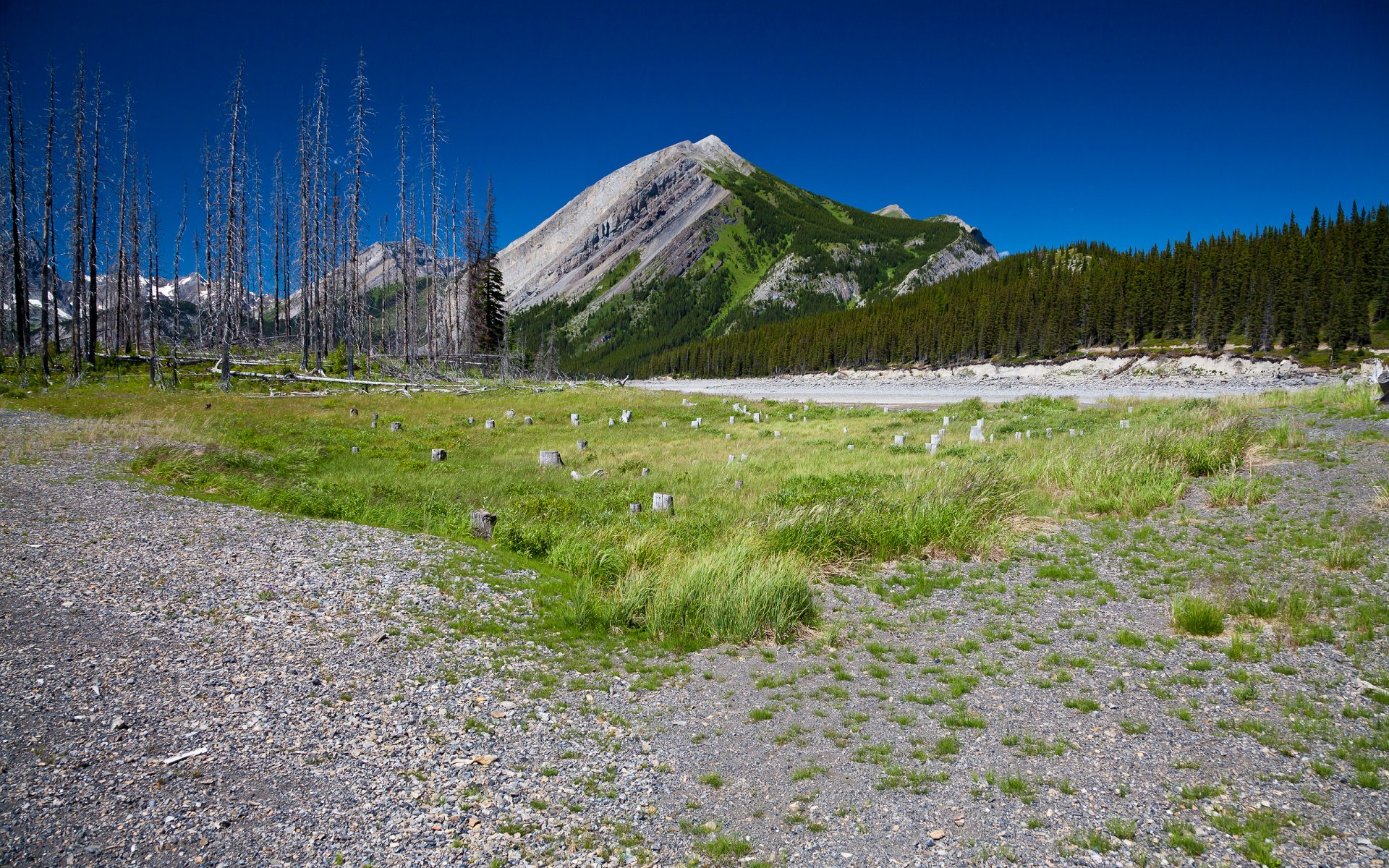 paysage montagnes herbe nature ciel