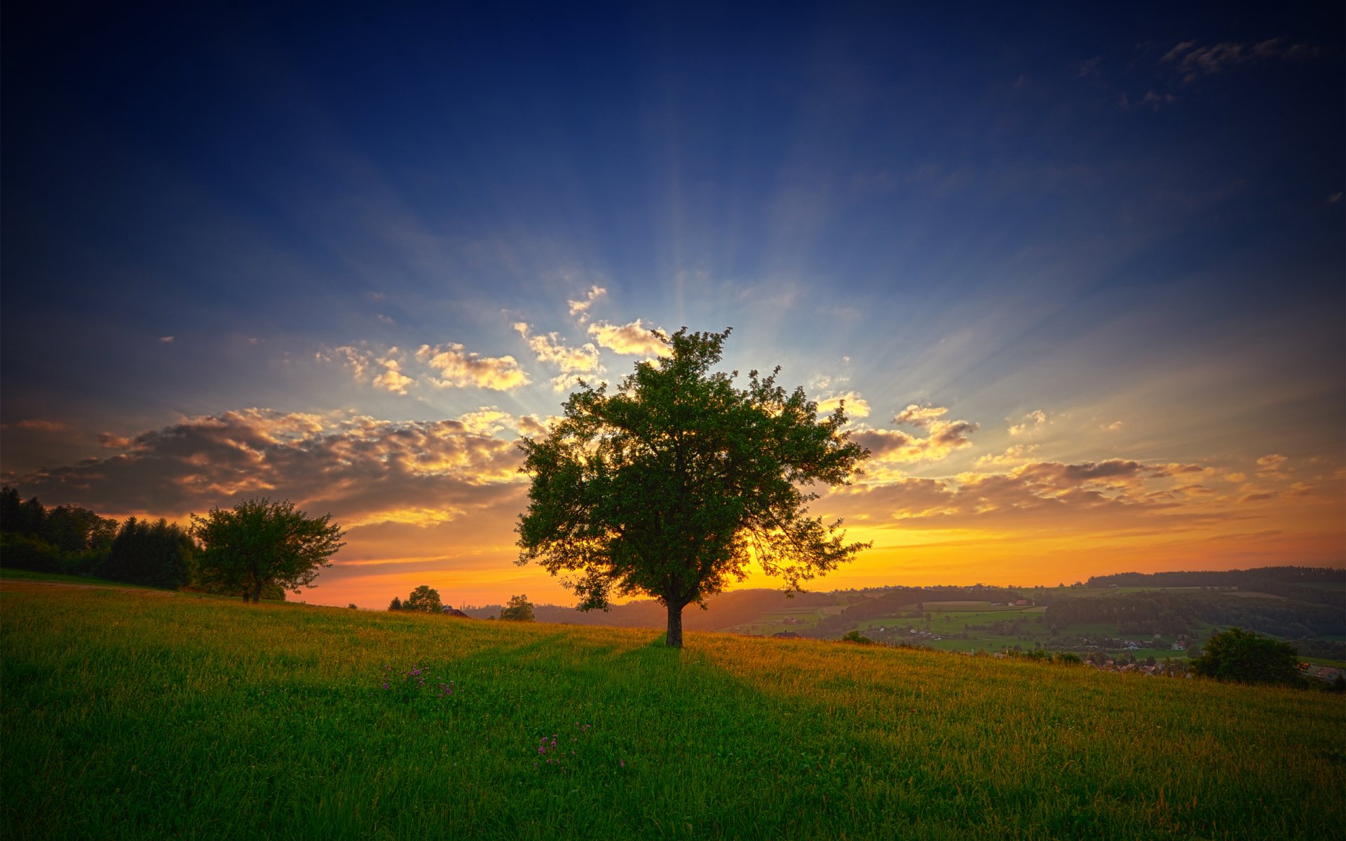 landschaft himmel dämmerung sonne strahlen wolken morgen frische baum hang gras grün sommer blumen natur view view neigung hügel morgen sommer frisch lightray