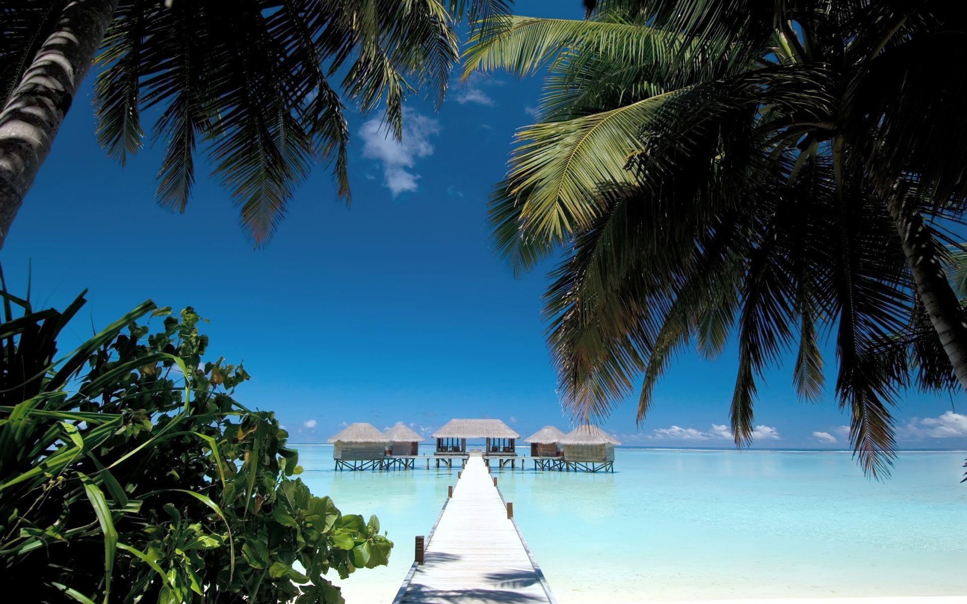 landschaft ansicht natur malediven brücke palmen sommer strand sand küste wasser meer ozean häuser himmel-ansicht sommer himmel sand küste brücken malediven