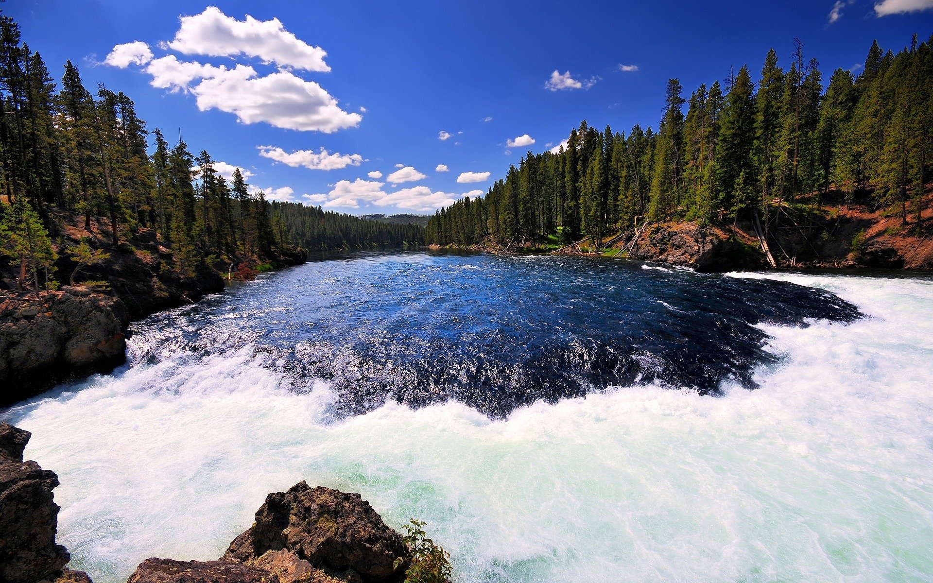 fiume yellowstone parco nazionale di yellowstone rapide