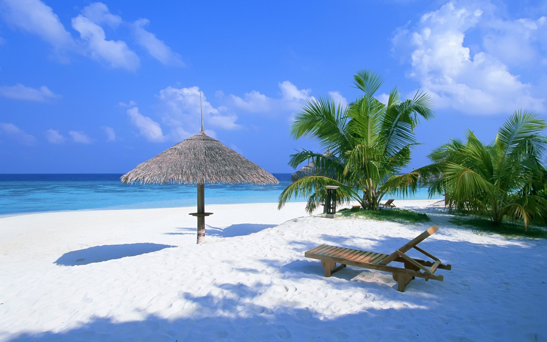 palm sand beach bahamas shed summer chaise ocean