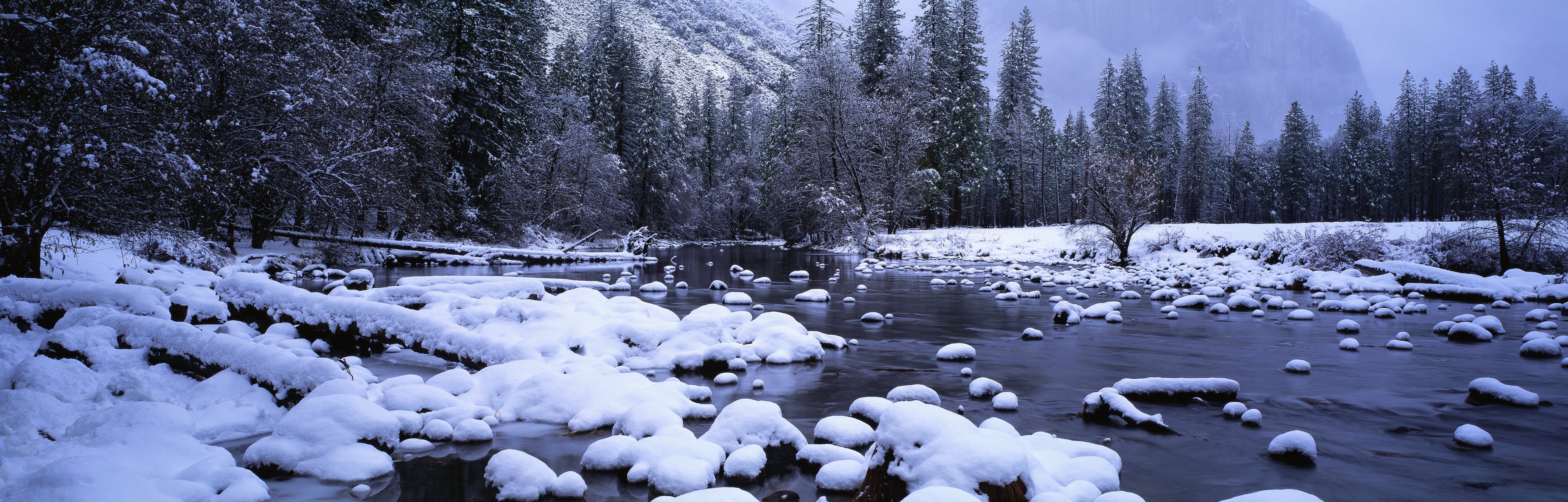 nieve arroyo bosque