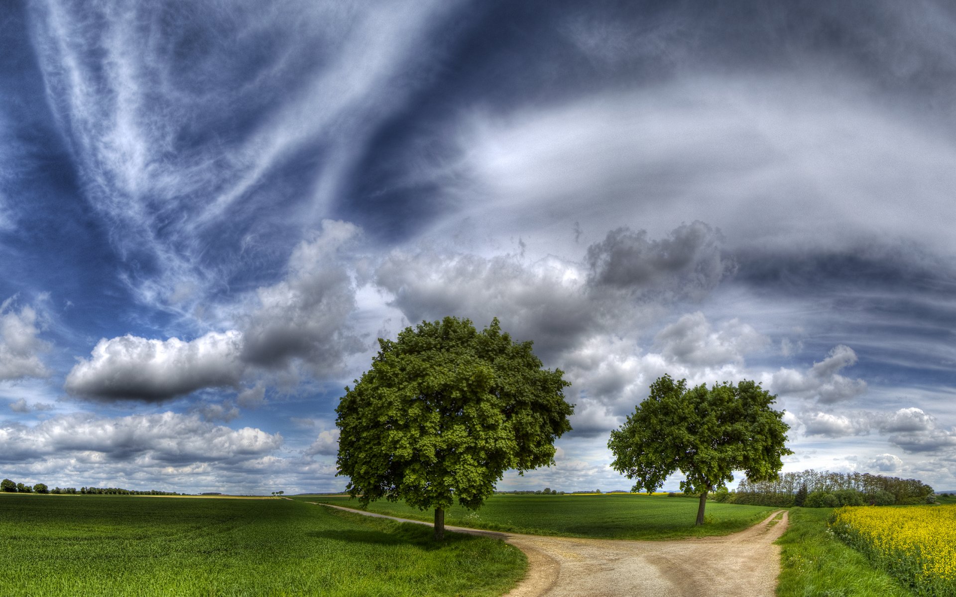 route fourche herbe arbres sentier sélection ciel joliment champ foin