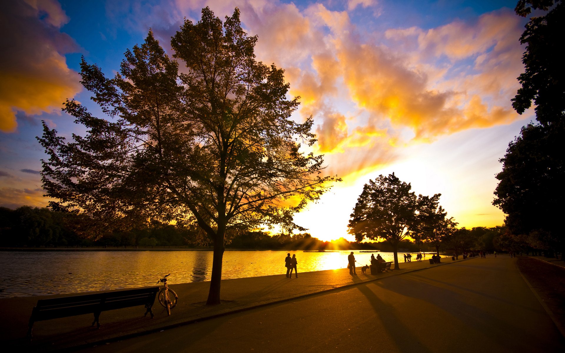 gente parque paseo bicicleta río verano tarde árboles sol cielo buen tiempo