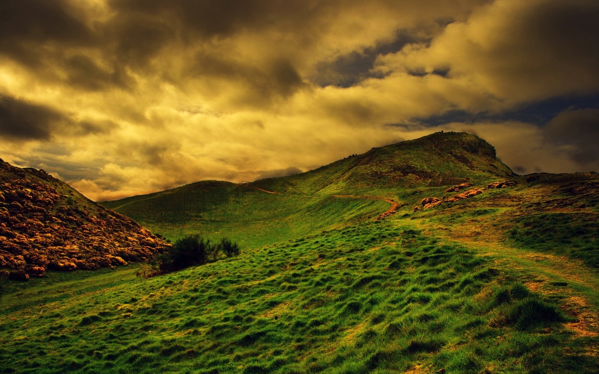 ciel herbe paysage