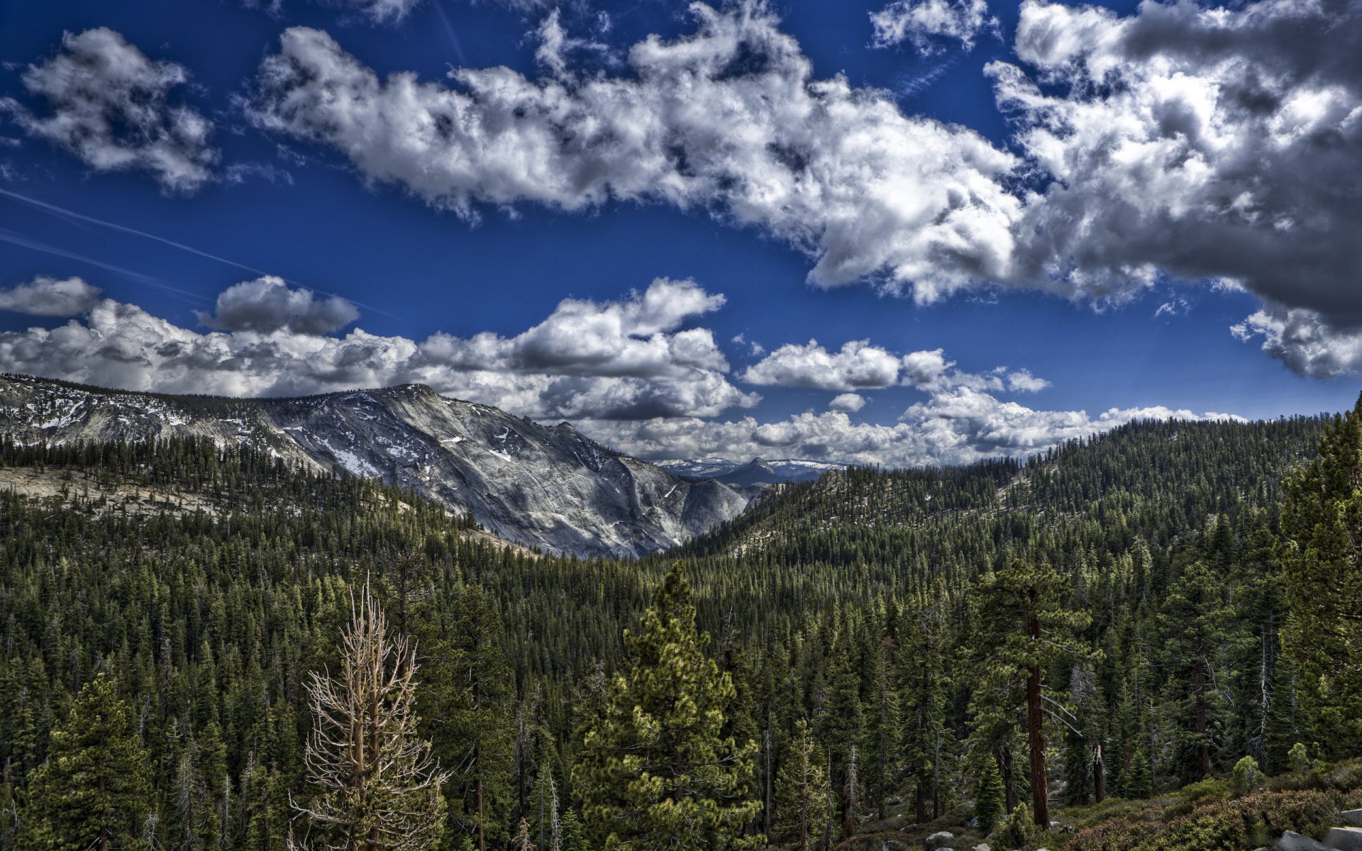 mountains forests nature trees forest sky cloud