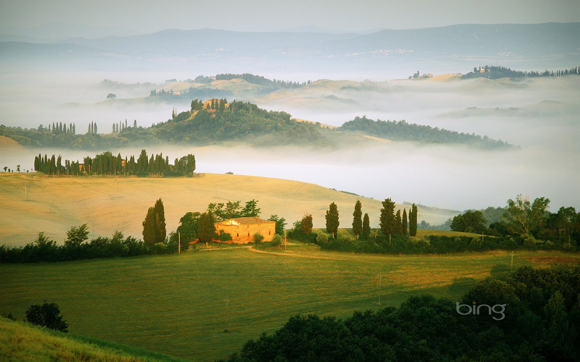 campi italia nebbia