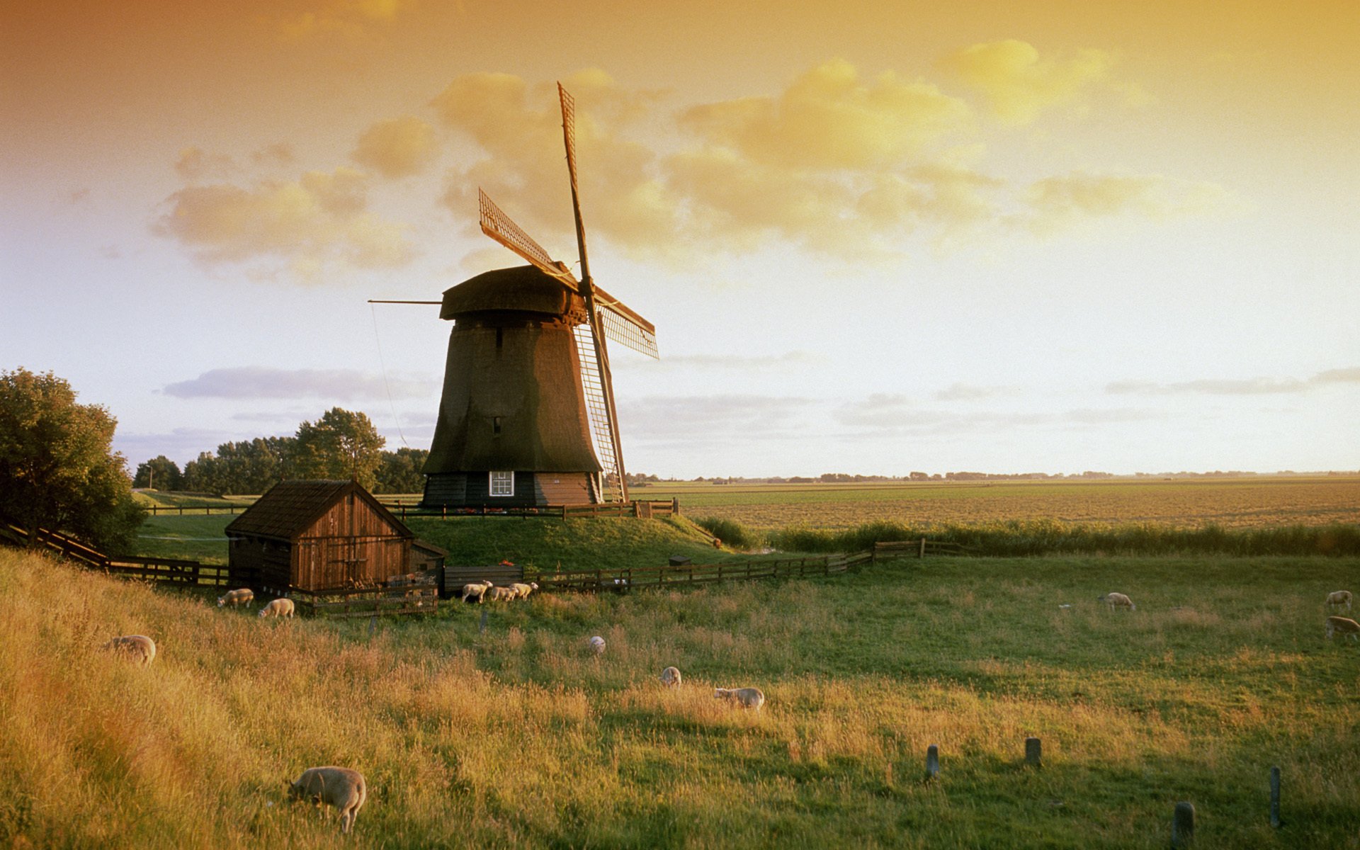 natur mühle himmel gras