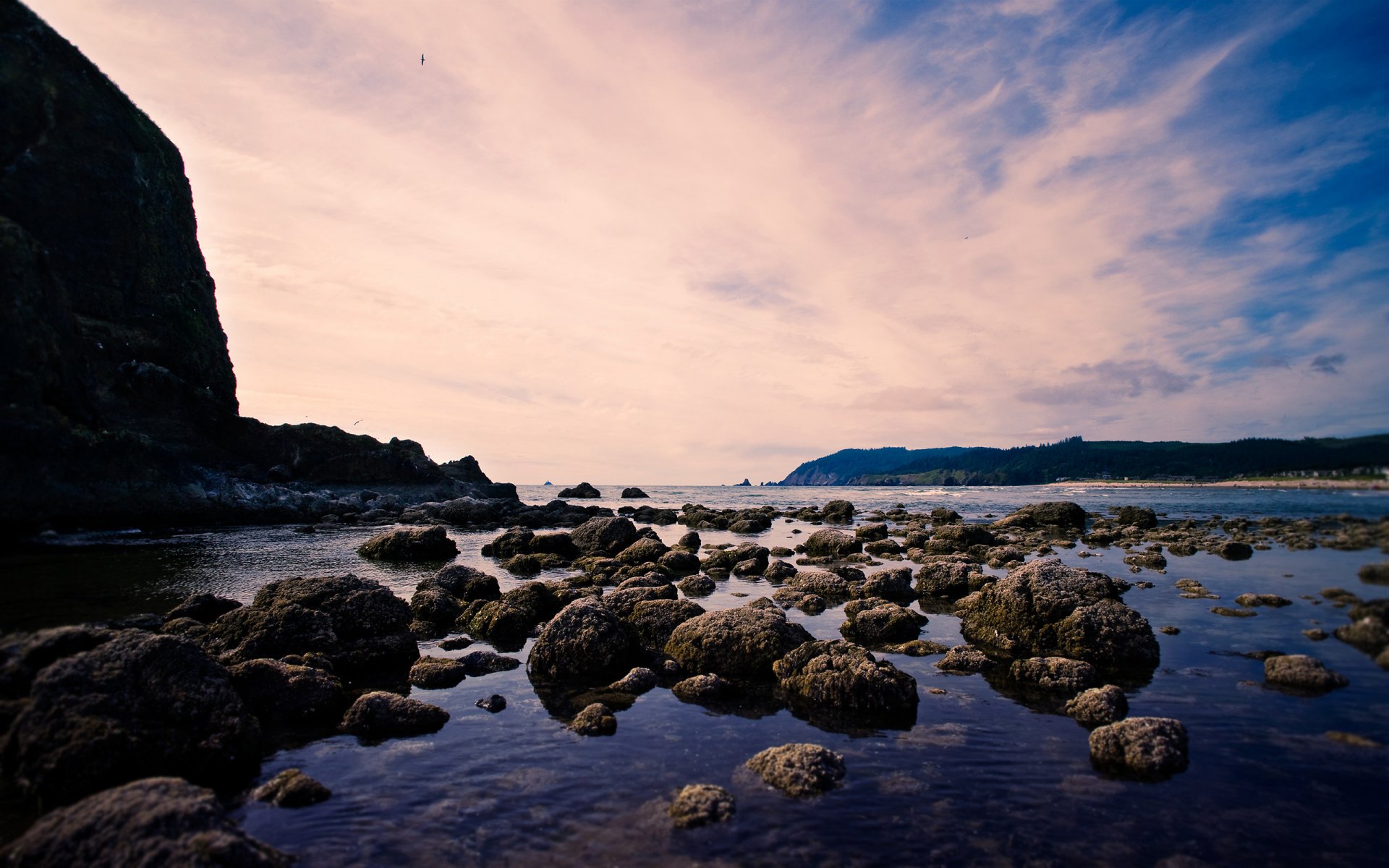 costa mar roca pájaro en el cielo nubes paisaje piedras