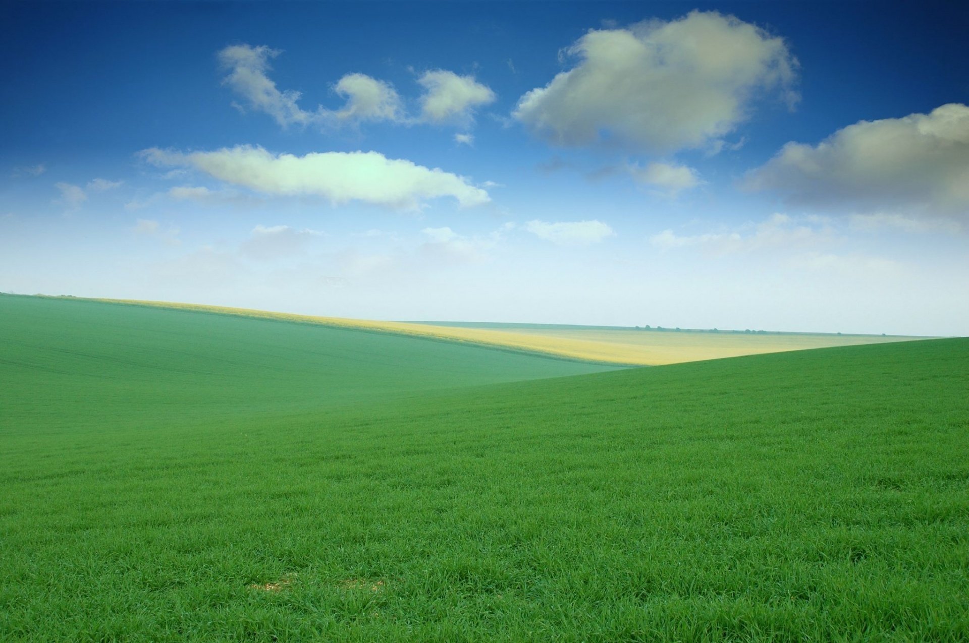 of the field sky grass meadows open space